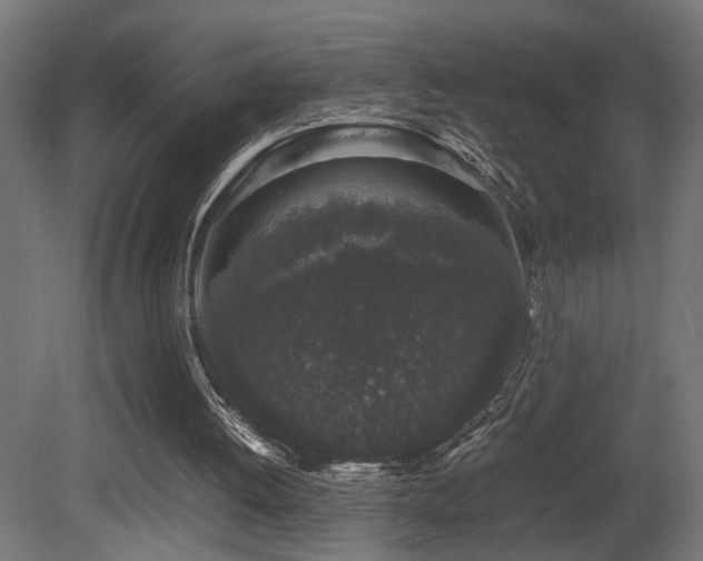 X0000081350052200701111506