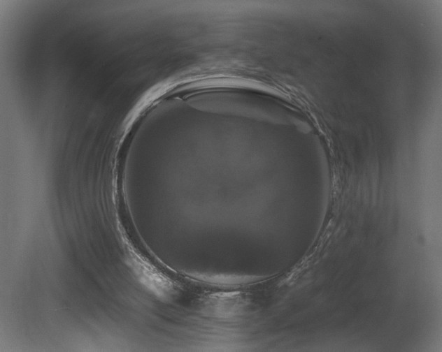 X0000081350054200701111506