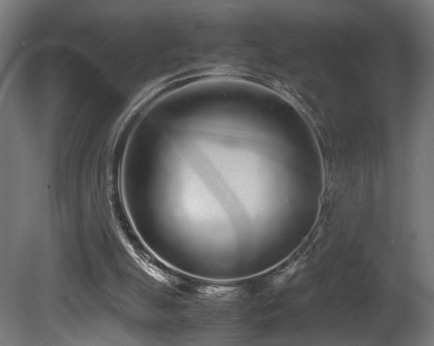 X0000081350055200701111506