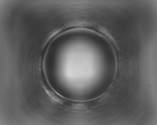 X0000081350058200701111506