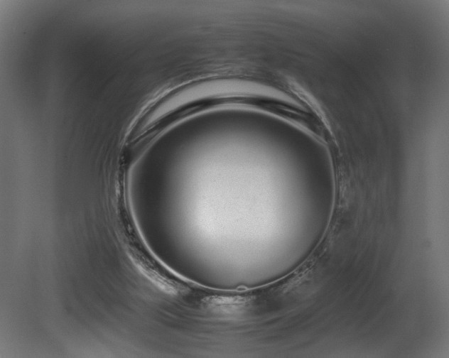 X0000081350059200701111506