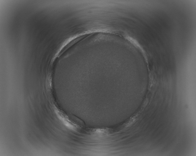 X0000081350060200701111506