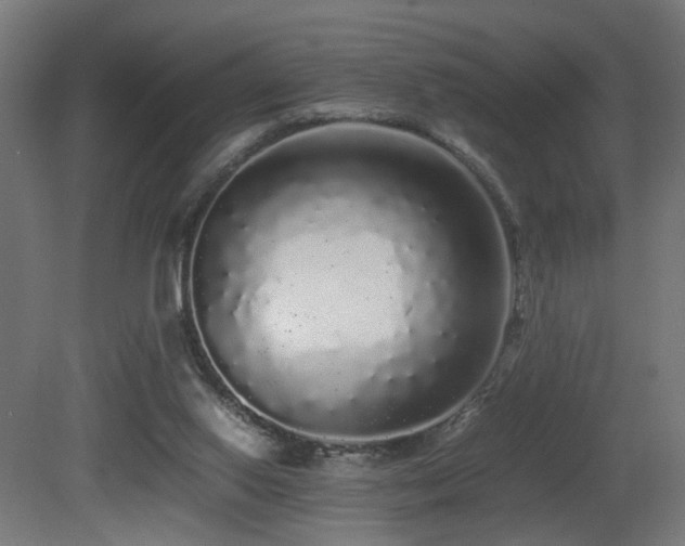 X0000081350062200701111506
