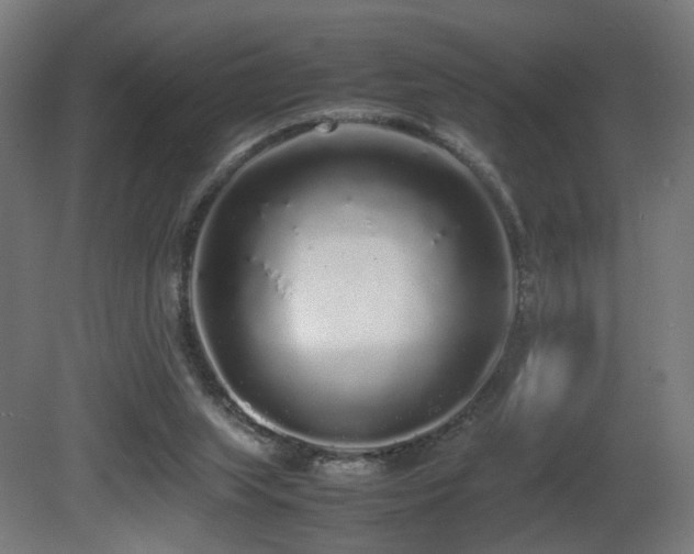 X0000081350063200701111506