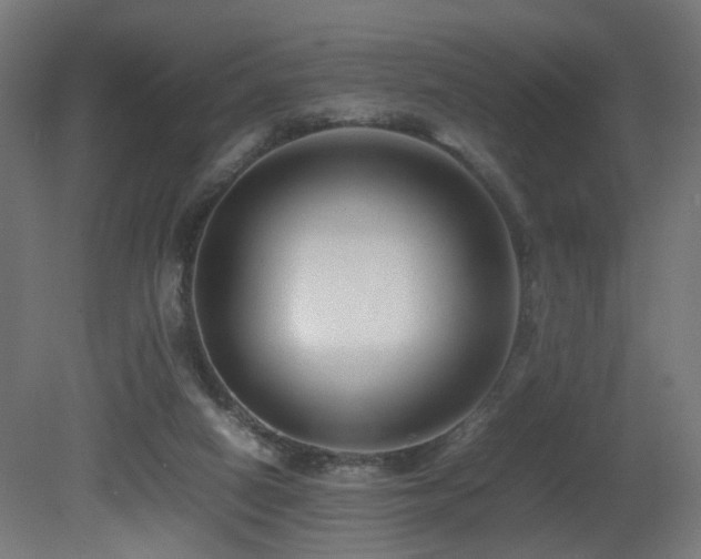 X0000081350066200701111506
