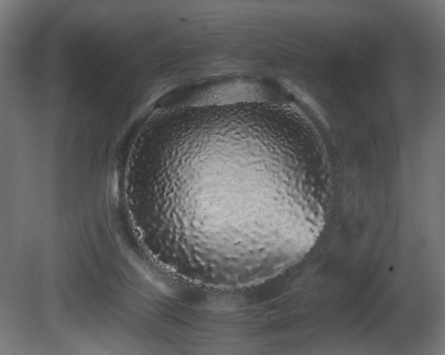 X0000081350067200701111506