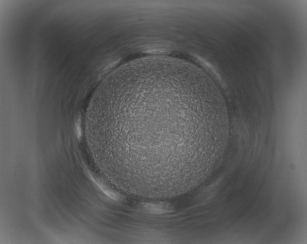 X0000081350069200701111506