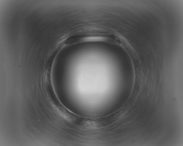 X0000081350071200701111506