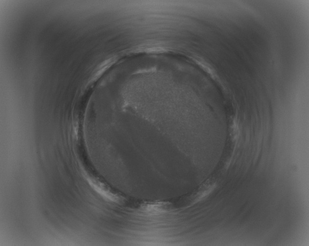 X0000081350072200701111506