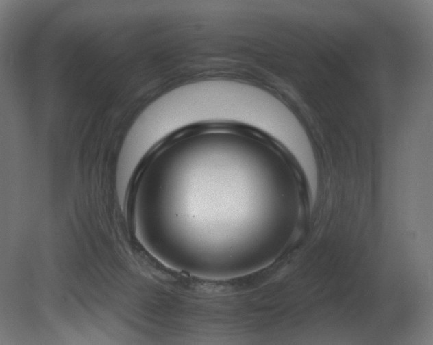 X0000081350073200701111506