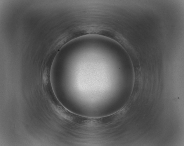 X0000081350074200701111506