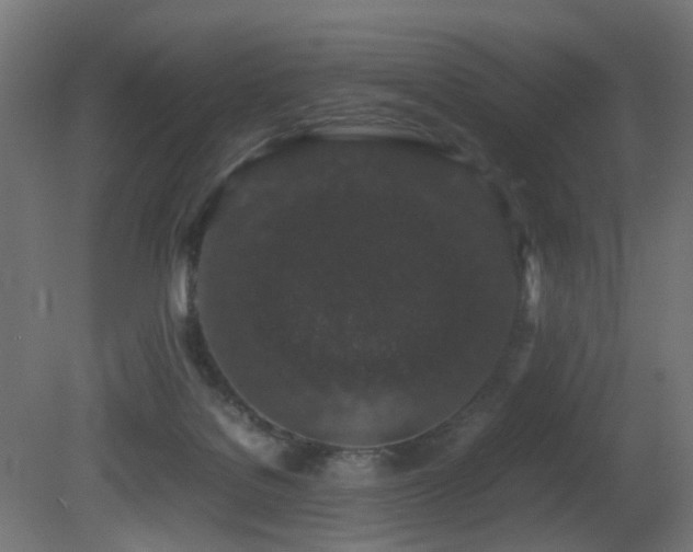 X0000081350076200701111506