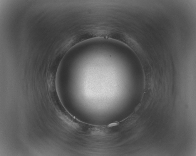 X0000081350077200701111506