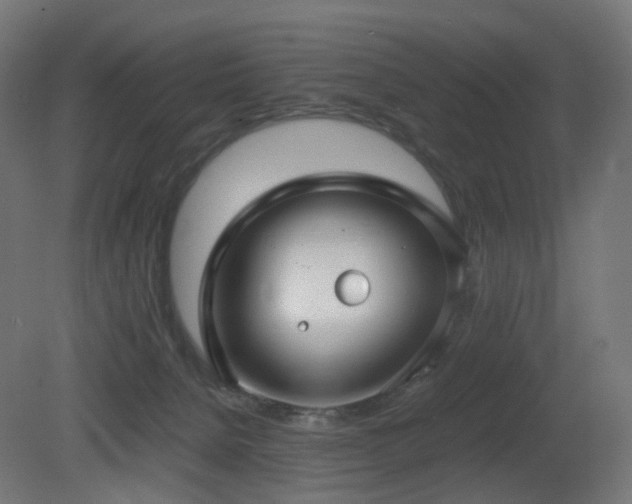 X0000081350080200701111506