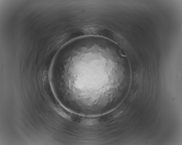 X0000081350081200701111506