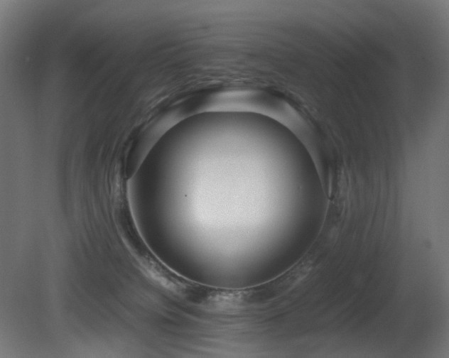 X0000081350084200701111506
