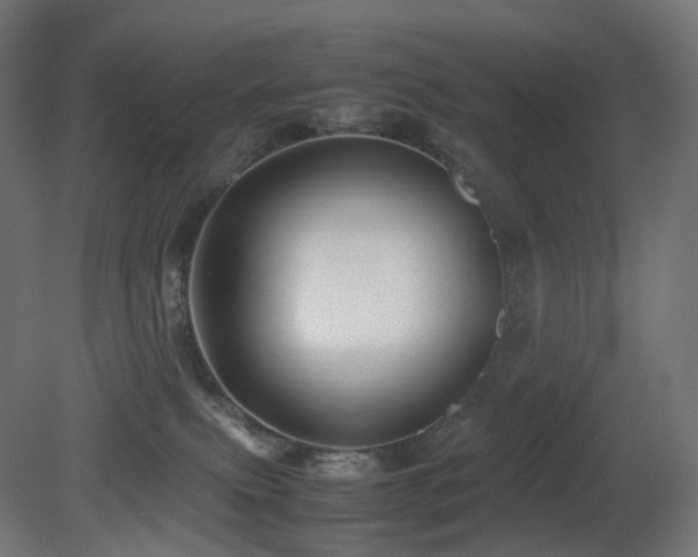 X0000081350087200701111506