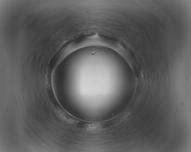 X0000081350088200701111506
