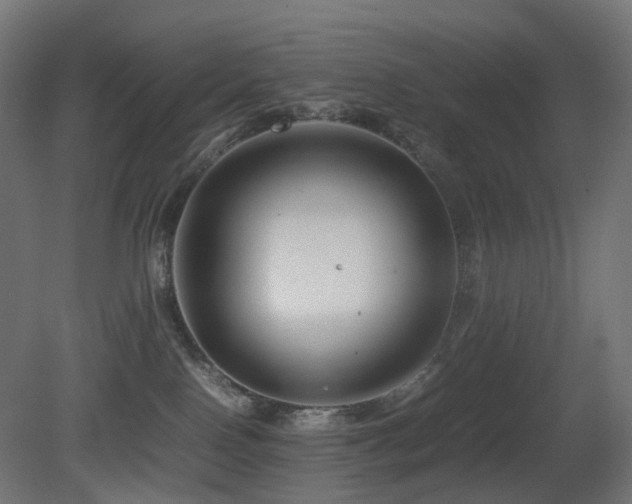 X0000081350090200701111506