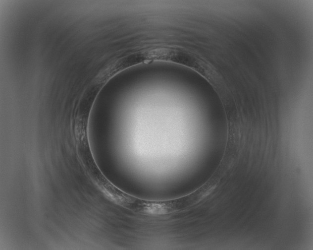 X0000081350091200701111506