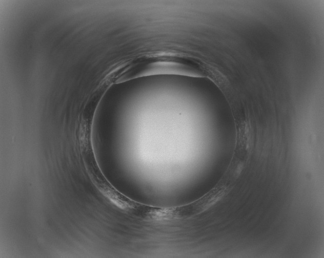 X0000081350092200701111506