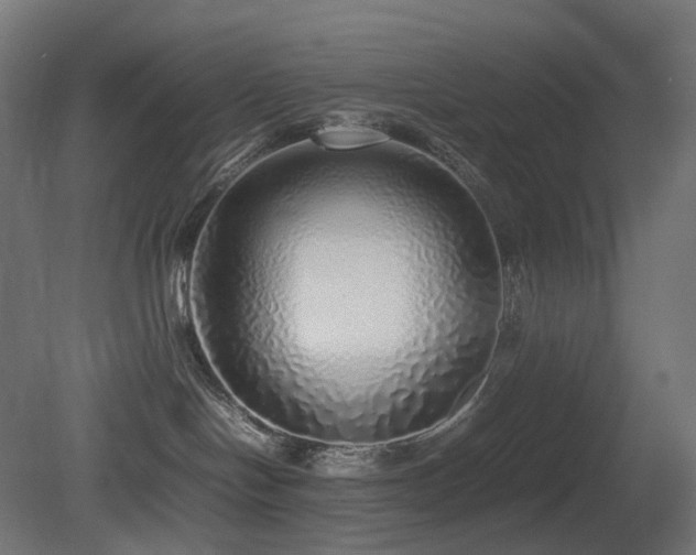X0000081350094200701111506