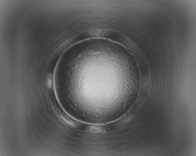 X0000081350095200701111506