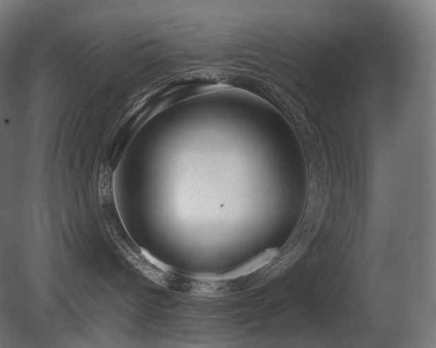 X0000081350096200701111506