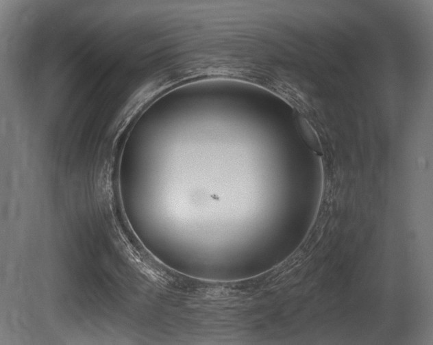X0000081350098200701111505