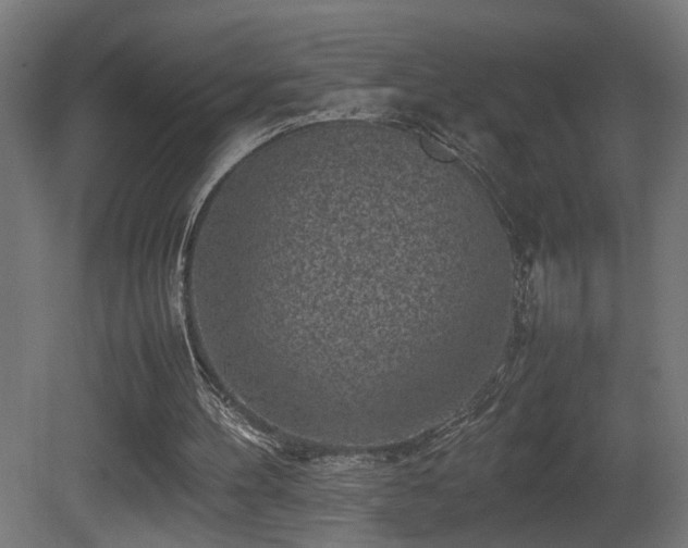 X0000081350100200701111505