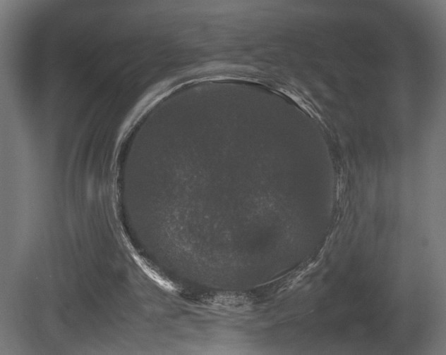 X0000081350101200701111505