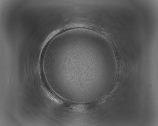 X0000081350104200701111505