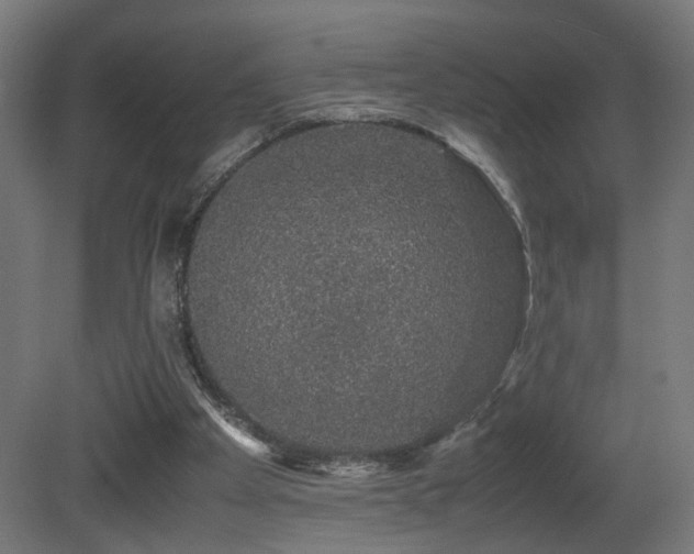 X0000081350105200701111505