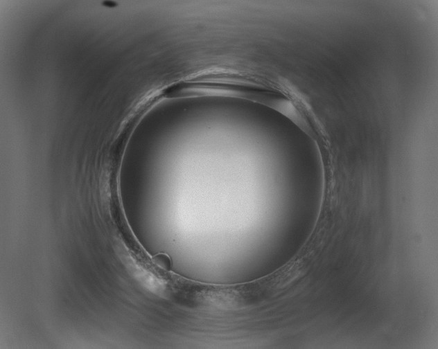 X0000081350106200701111505
