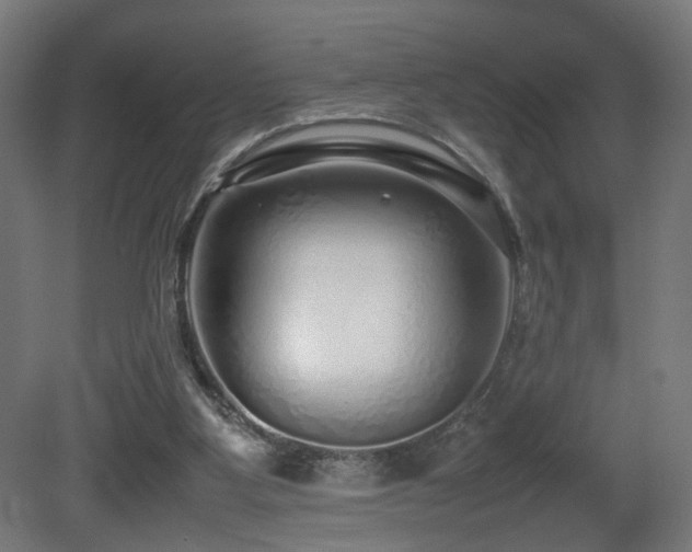 X0000081350107200701111505