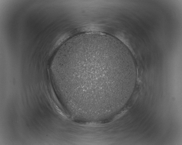 X0000081350109200701111505