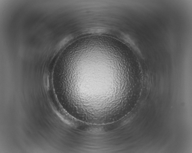X0000081350110200701111505