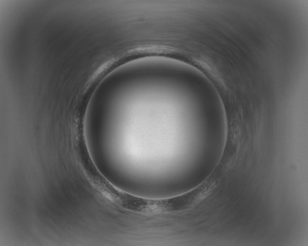 X0000081350111200701111505