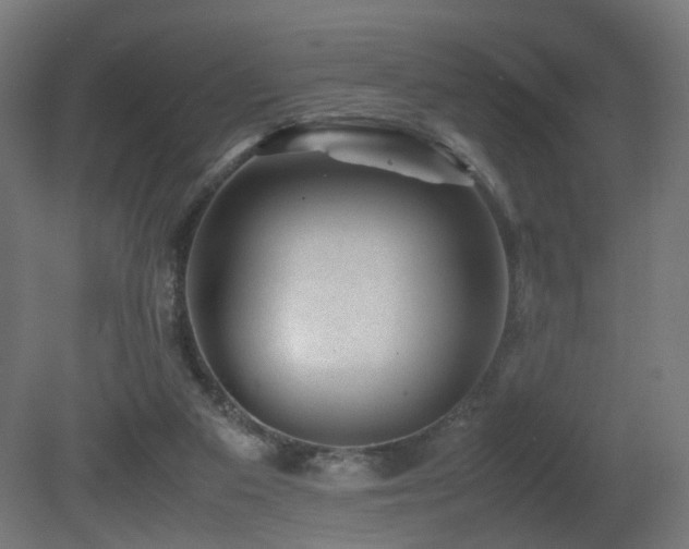 X0000081350113200701111505
