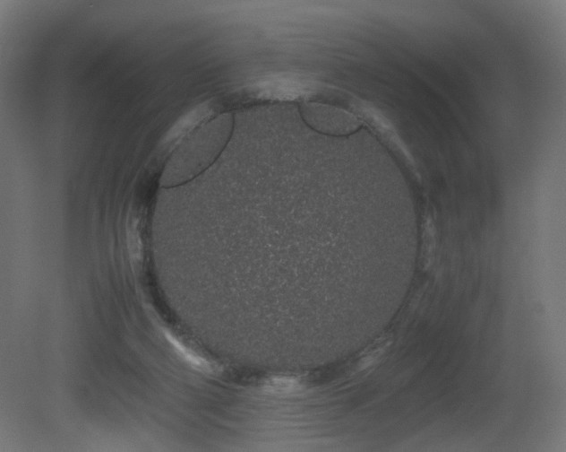 X0000081350114200701111505