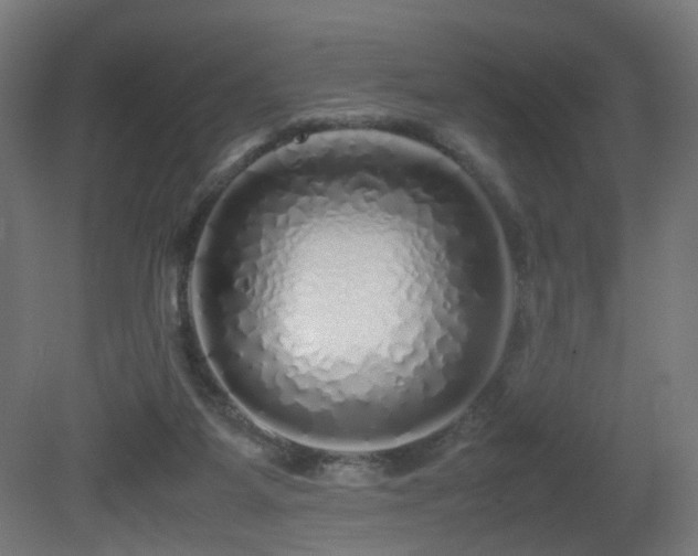 X0000081350115200701111505
