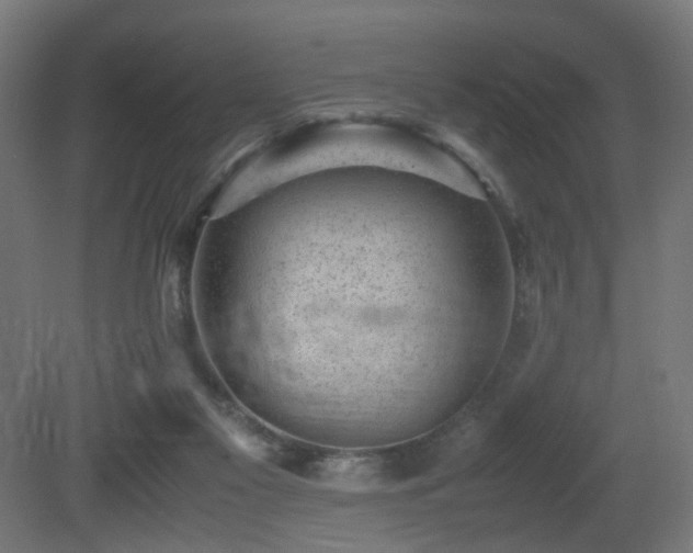 X0000081350117200701111505