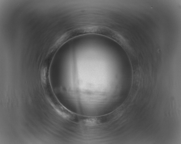 X0000081350118200701111505