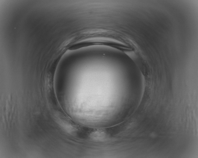 X0000081350119200701111505