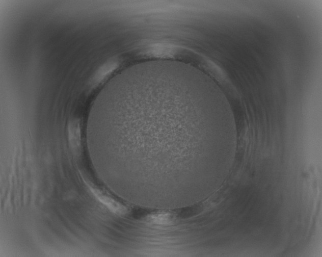 X0000081350120200701111505