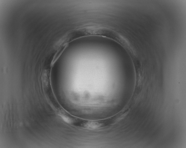 X0000081350121200701111505