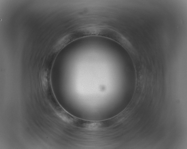 X0000081350122200701111505