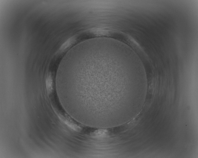 X0000081350124200701111505