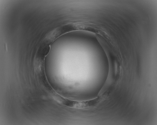 X0000081350125200701111505