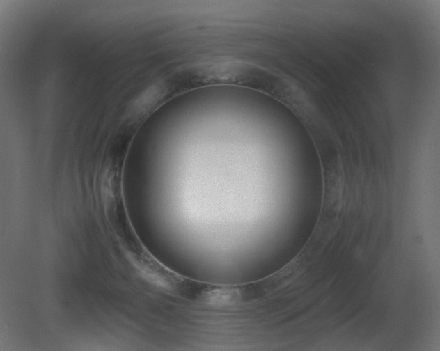 X0000081350126200701111505